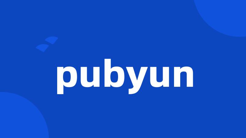 pubyun