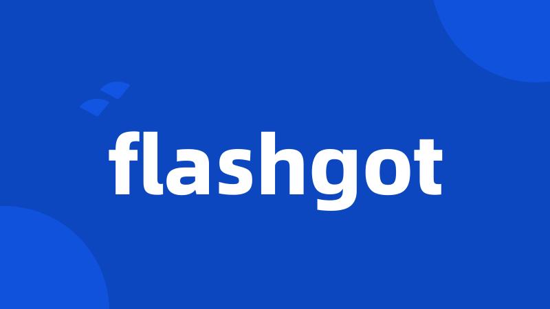 flashgot