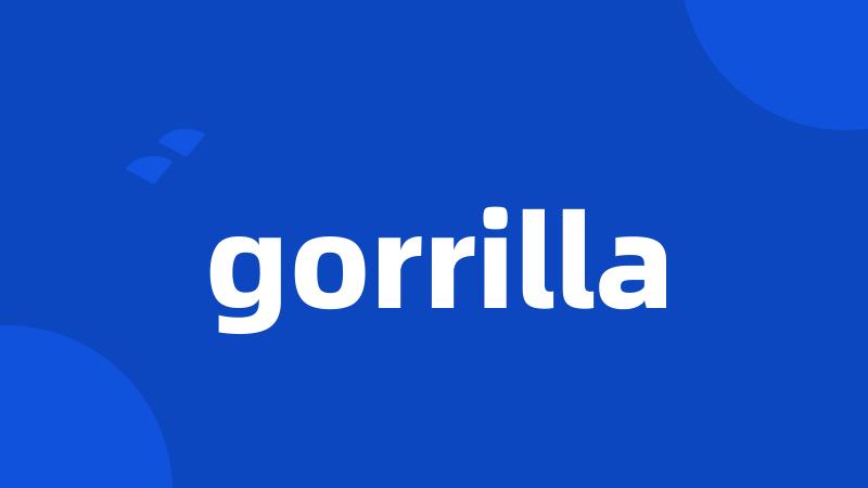 gorrilla