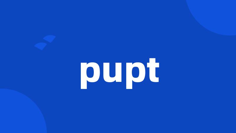 pupt