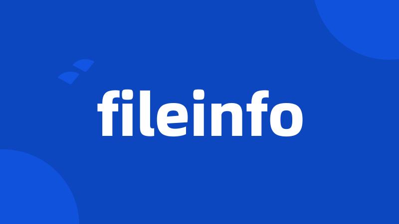 fileinfo