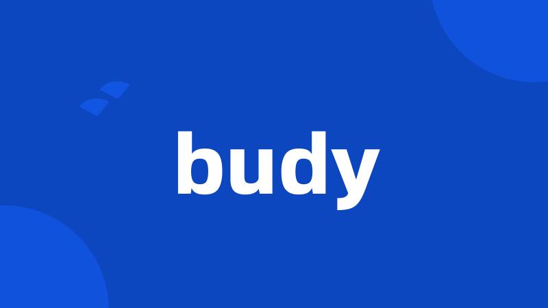 budy