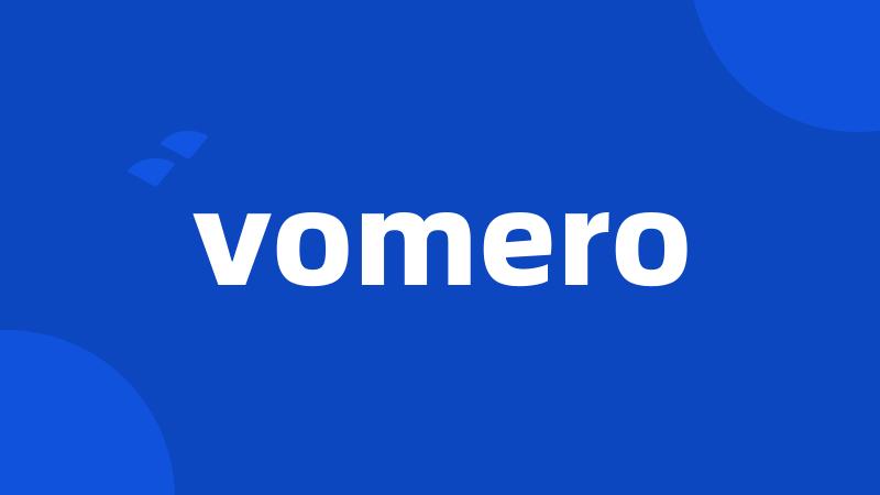 vomero