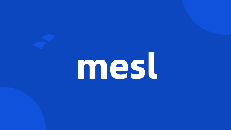 mesl