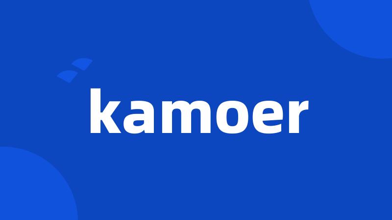 kamoer