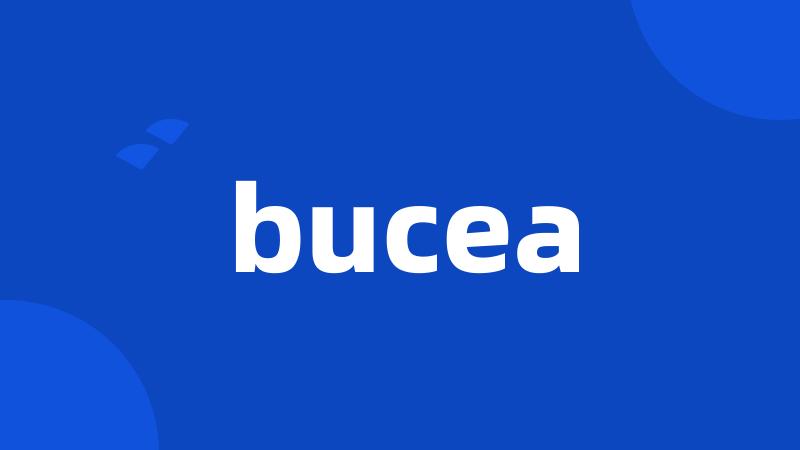 bucea