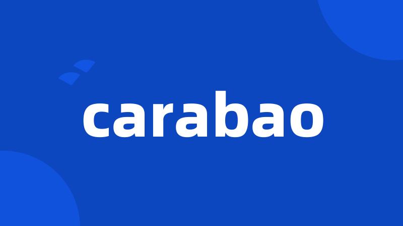 carabao