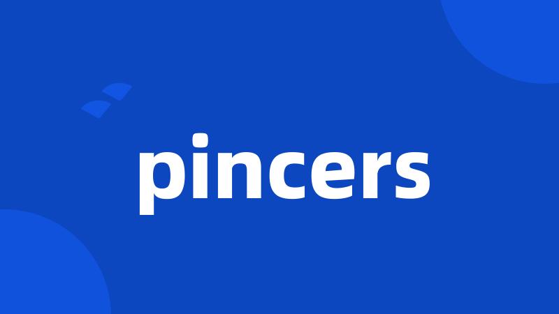 pincers