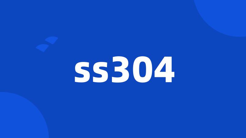 ss304