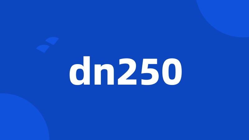 dn250