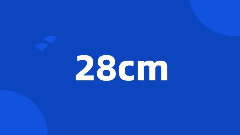 28cm