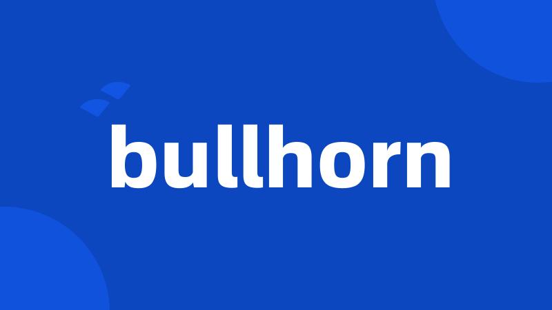 bullhorn