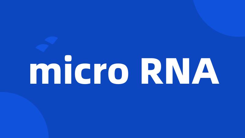 micro RNA