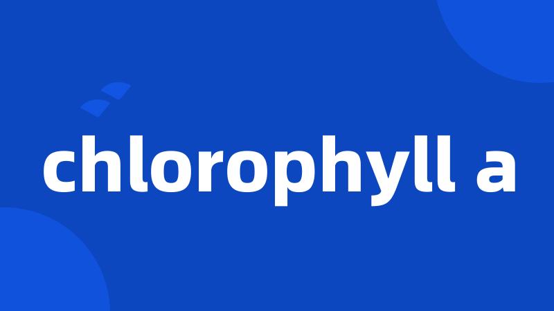 chlorophyll a