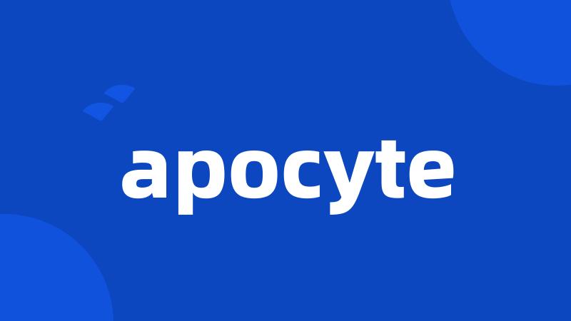 apocyte