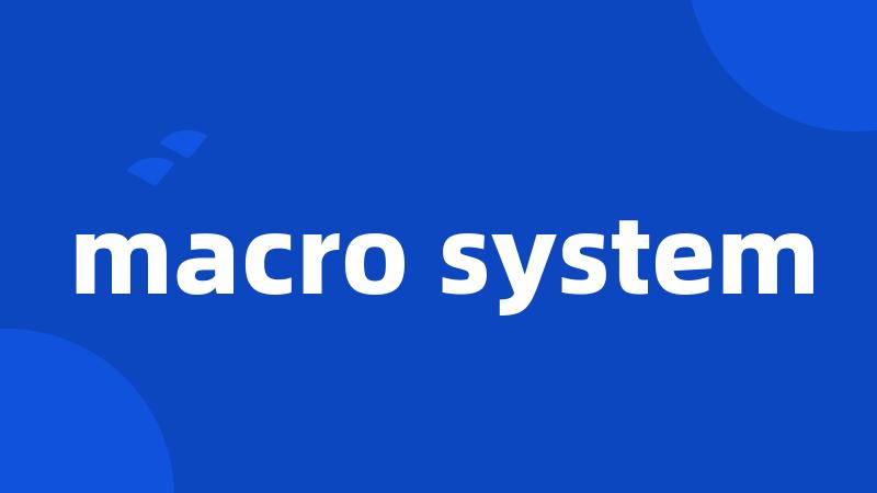 macro system