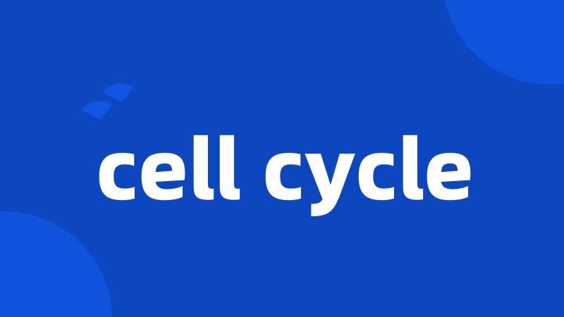 cell cycle