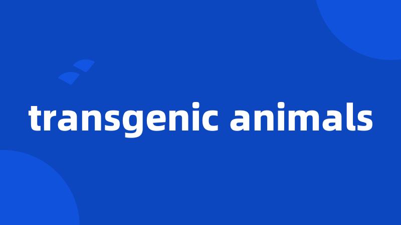 transgenic animals