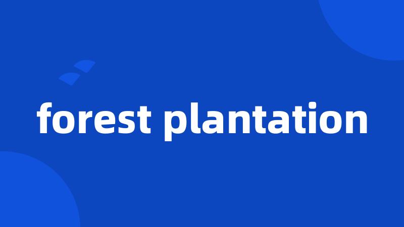 forest plantation