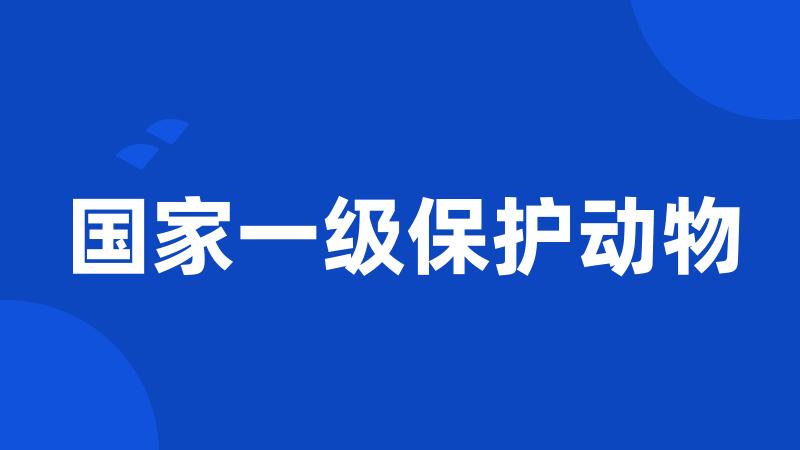 国家一级保护动物