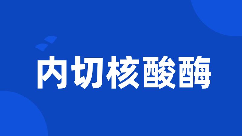 内切核酸酶