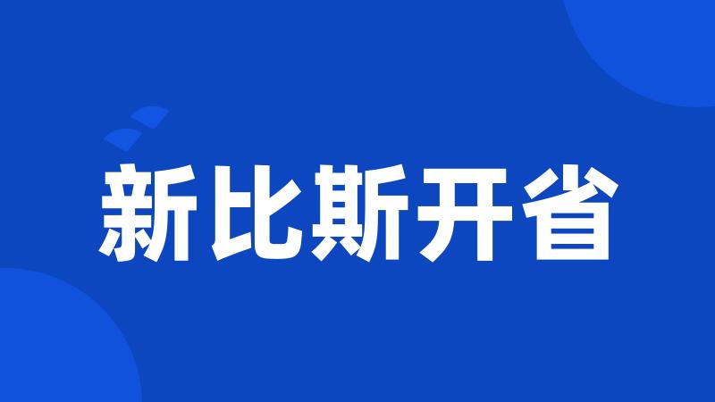 新比斯开省