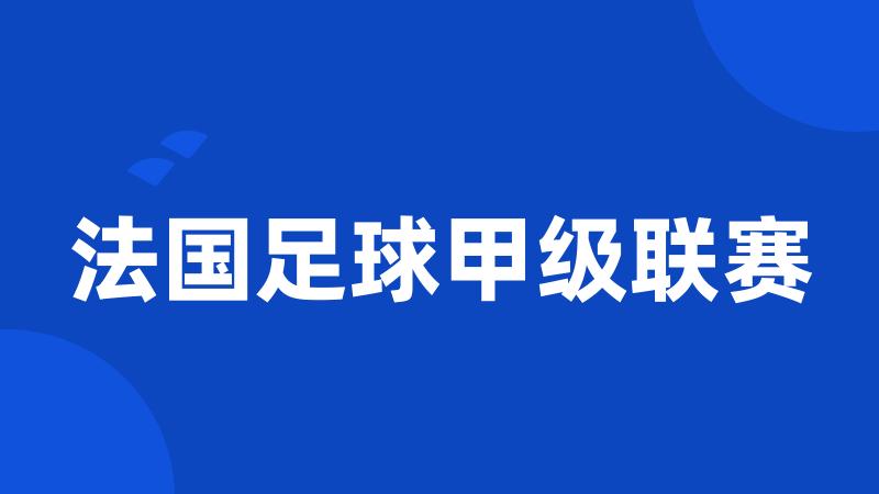 法国足球甲级联赛