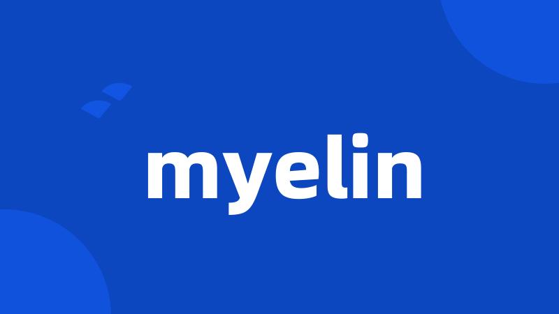 myelin