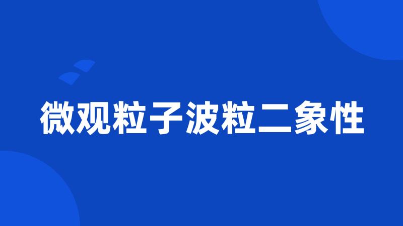 微观粒子波粒二象性