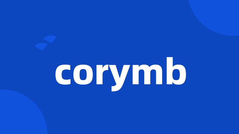 corymb