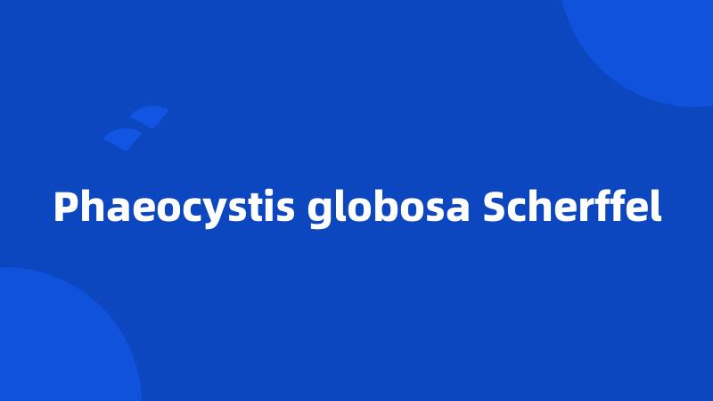 Phaeocystis globosa Scherffel