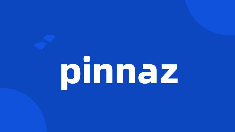 pinnaz