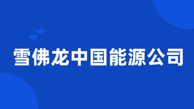 雪佛龙中国能源公司