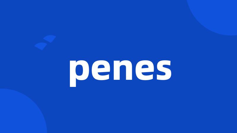 penes