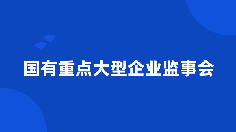 国有重点大型企业监事会