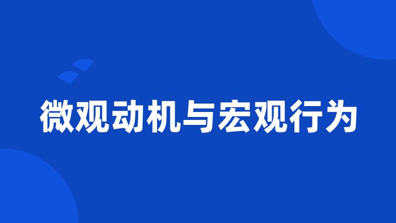 微观动机与宏观行为