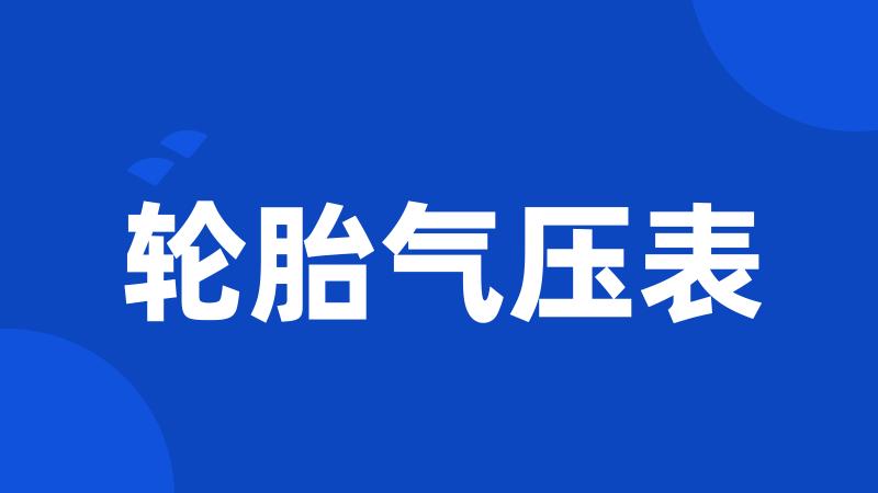 轮胎气压表