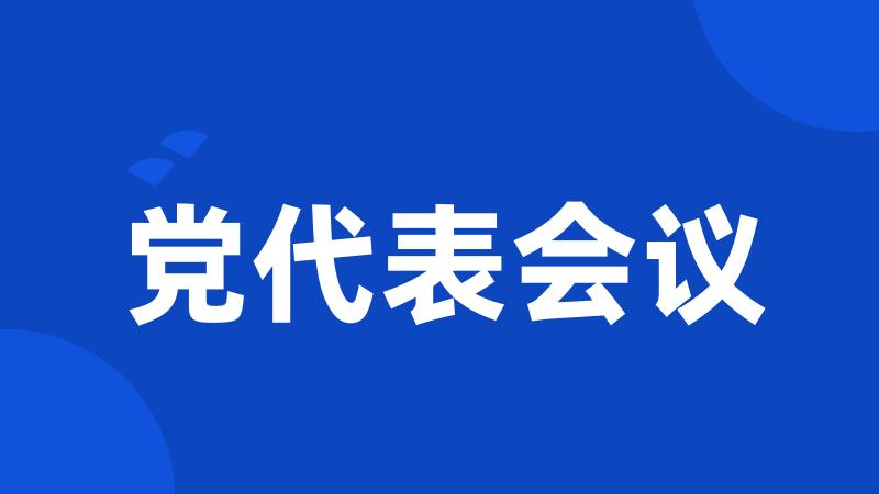 党代表会议