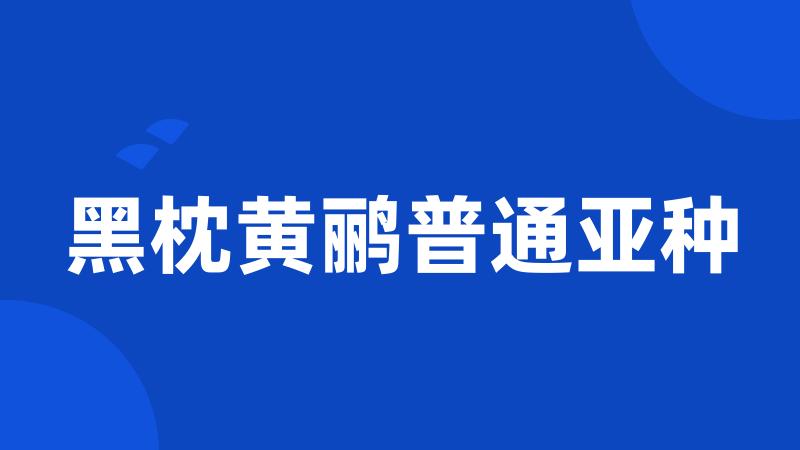 黑枕黄鹂普通亚种