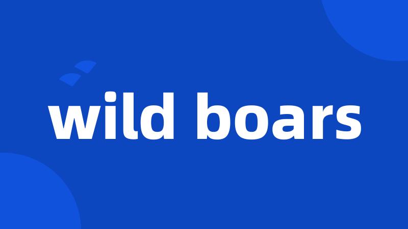 wild boars