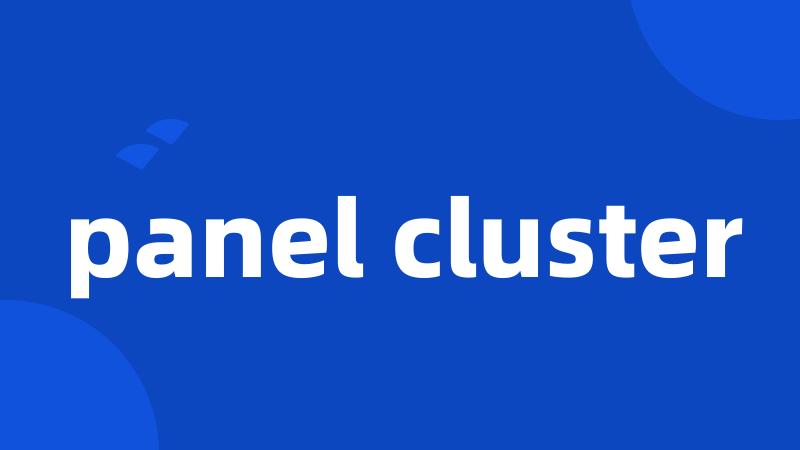 panel cluster