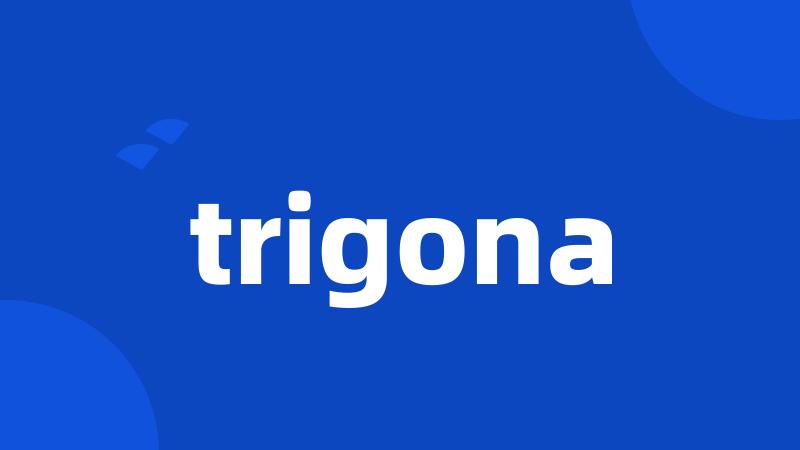 trigona