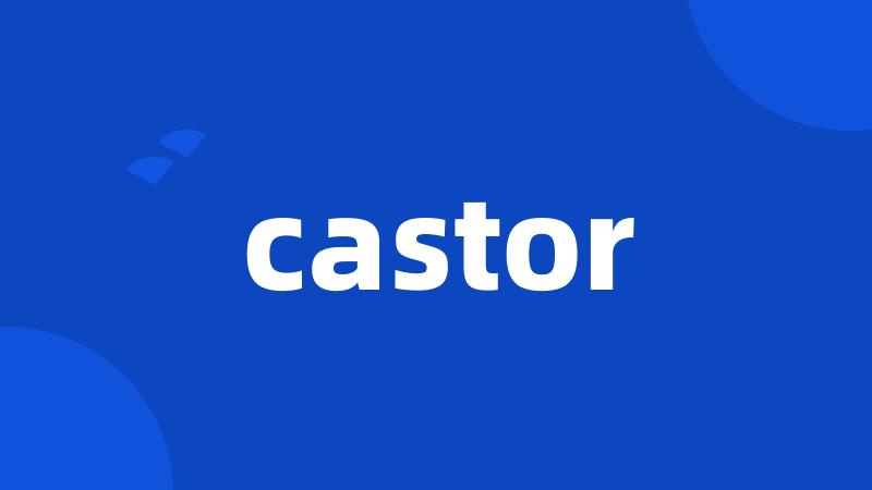 castor