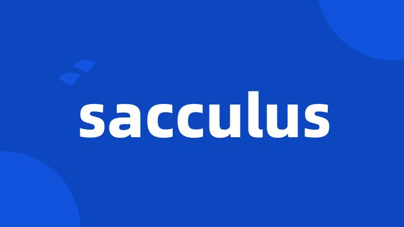 sacculus