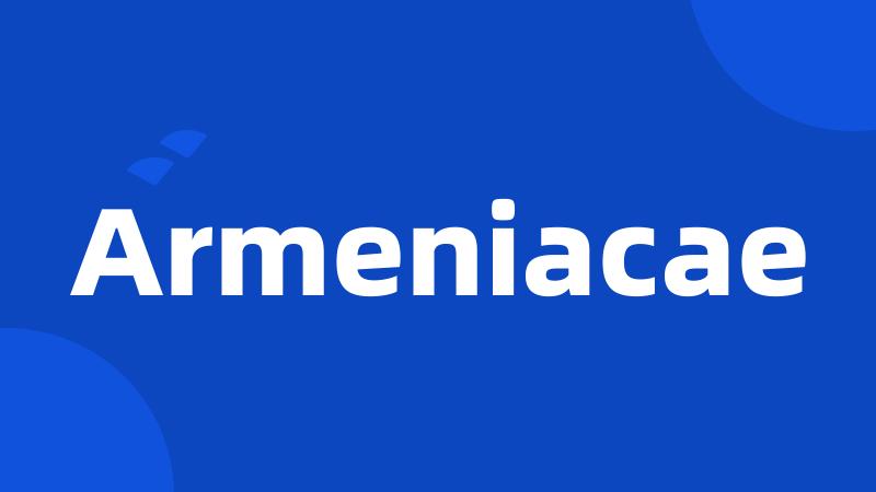 Armeniacae