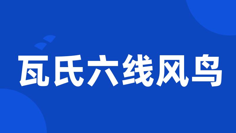 瓦氏六线风鸟