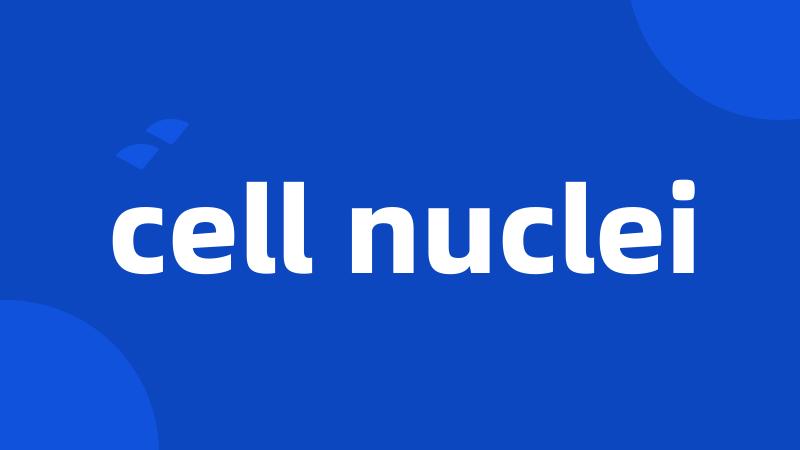cell nuclei