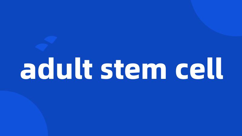 adult stem cell