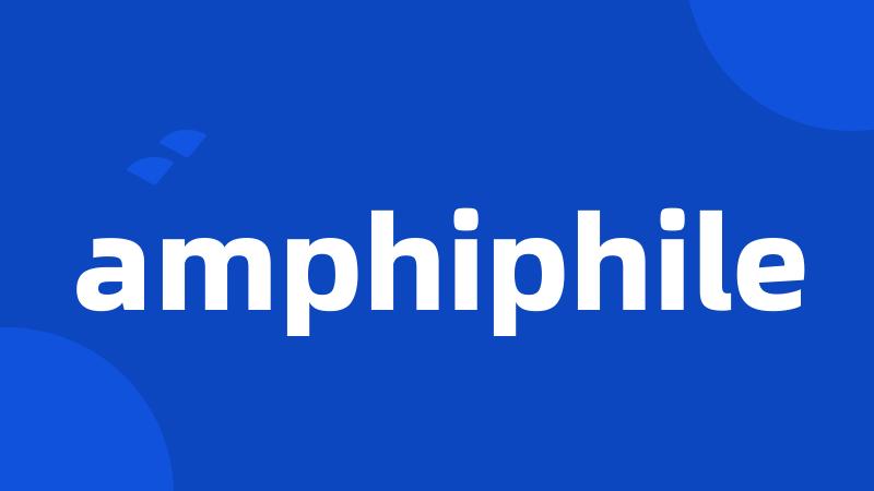 amphiphile