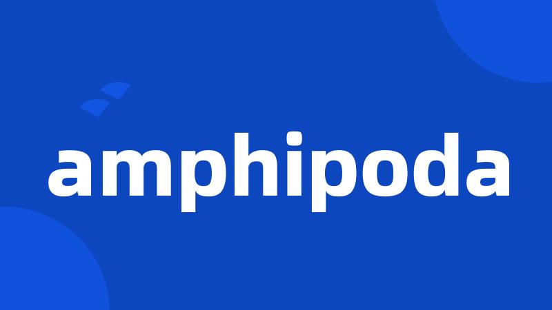 amphipoda